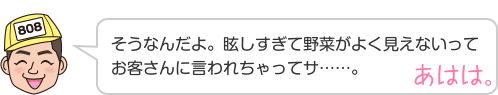 そうなんだよ。眩しすぎて野菜がよく見えないってお客さんに言われちゃってサ……。 あはは。