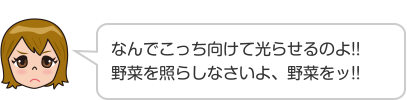 なんでこっち向けて光らせるのよ!!野菜を照らしなさいよ、野菜をッ!!