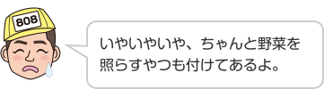 いやいやいや、ちゃんと野菜を照らすやつも付けてあるよ。