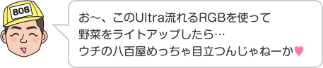 お〜、このUltra流れるRGBを使って野菜をライトアップしたら…ウチの八百屋めっちゃ目立つんじゃねーか♥