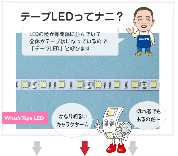 テープLEDってナニ？ LEDの粒が等間隔に並んでいて全体がテープ状になっているので「テープLED」と呼びます What’s Tape LED かなり明るいキャラクター☆ 切れ者でもあるのだ〜