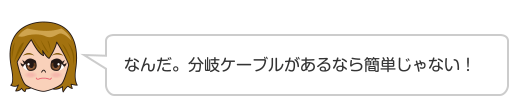 なんだ。分岐ケーブルがあるなら簡単じゃない！